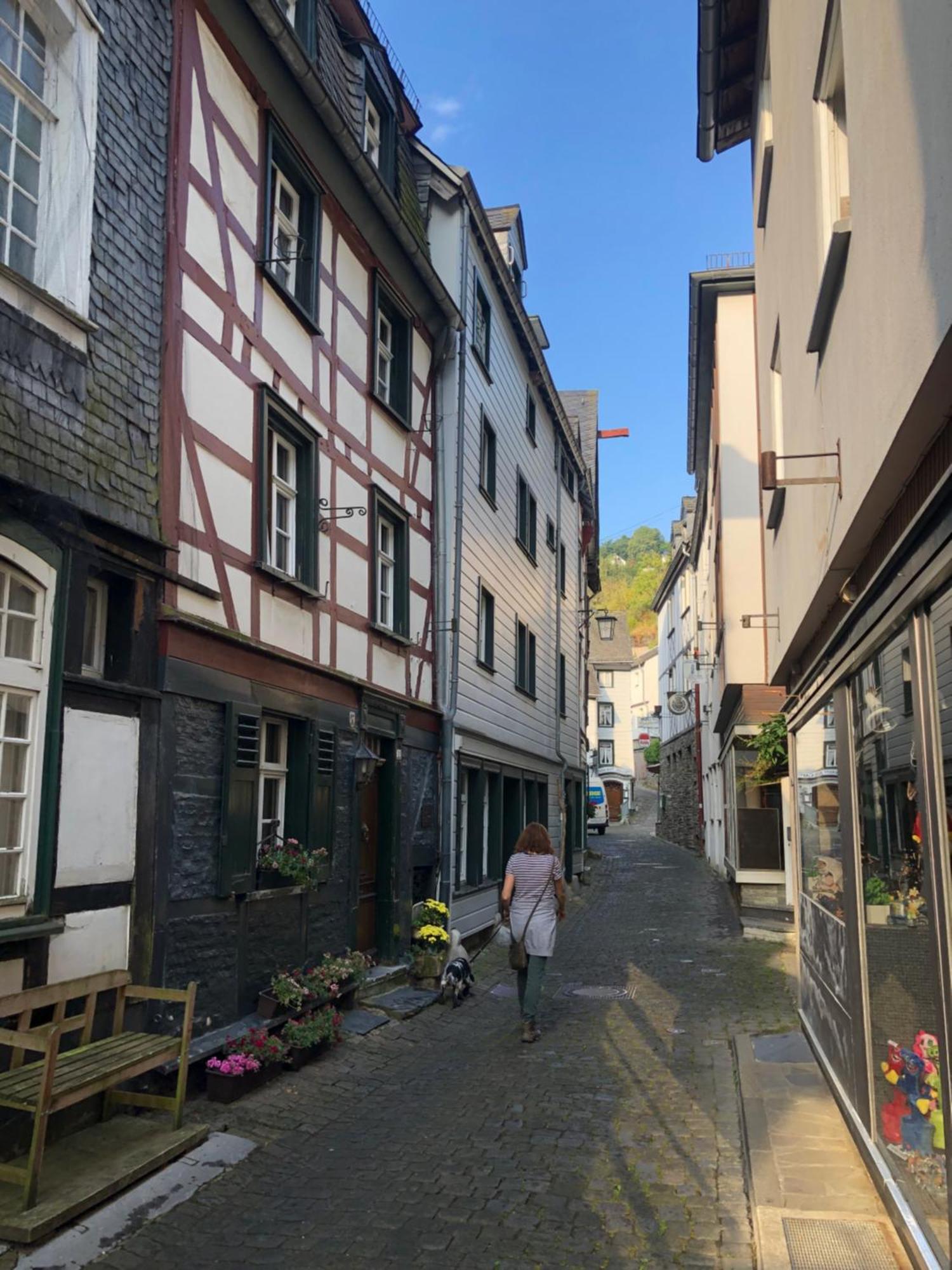Apartment Rur-Partie Im Haus An Der Rur Monschau Zewnętrze zdjęcie